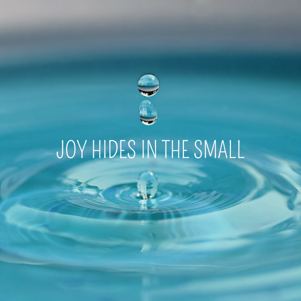 Joy hides in the small refers to a living a simple life, a life more focus on the inner world than the external material accumulation.